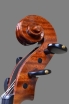violin "Speranza" 2020
