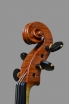 violin 2020