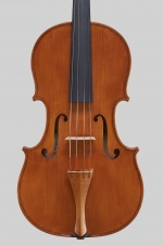 Viola Guadagnini model