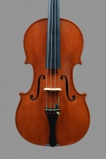 violino 2020